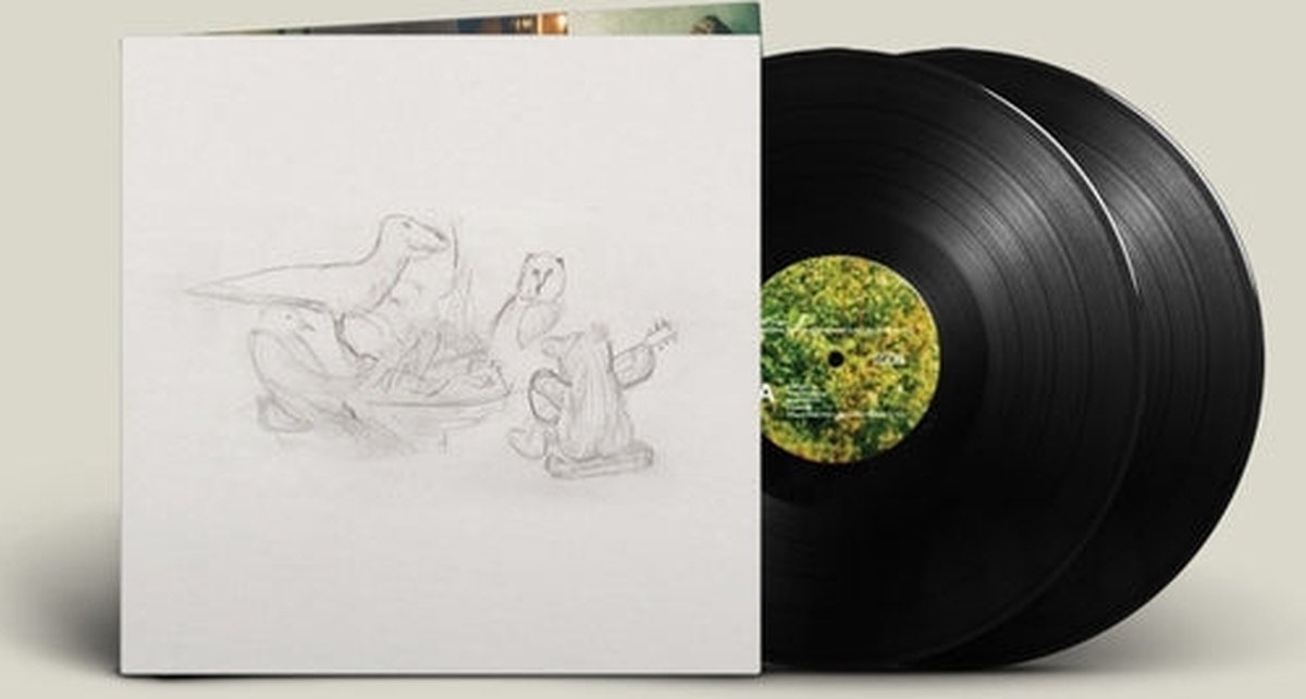 Big Thief - Dragon New Warm Mountain I Believe in You (2LP), Big