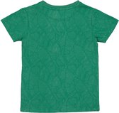 Quapi baby jongens t-shirt Nando aop Green Leaves
