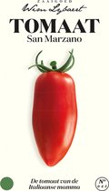 Tomaat San Marzano, de tomaat van de Italiaanse mamma - Zaaigoed Wim Lybaert
