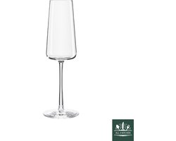 Stolzle Power 240 ml Champagne flute - 6 stuks