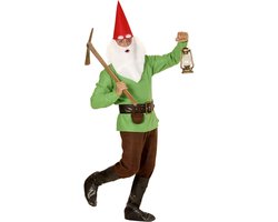 Kabouter kostuum greeny