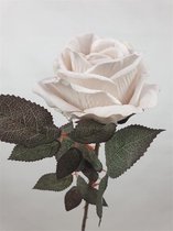 2x Pink Rose75*10cm