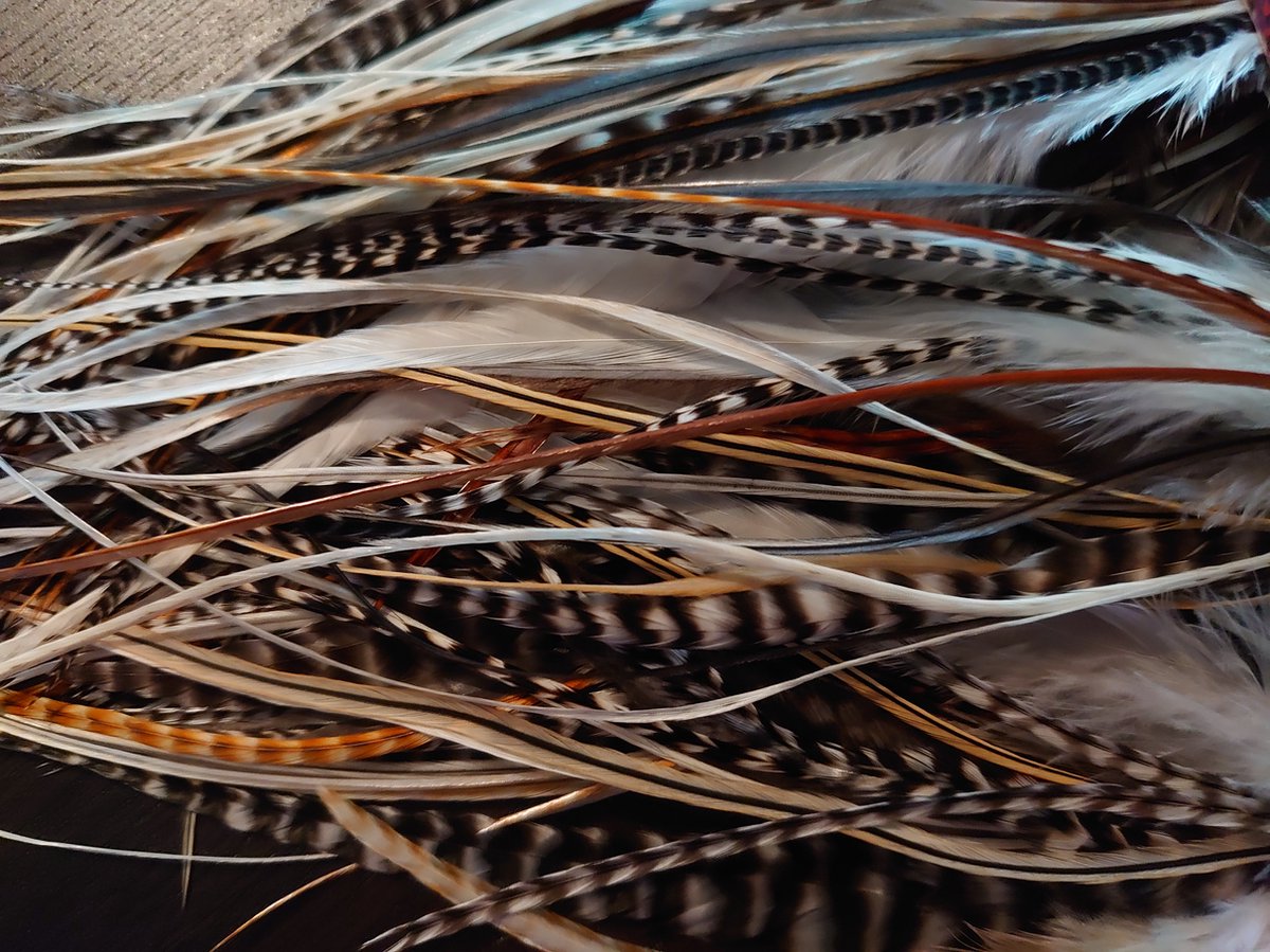 1 Set van 20 L feather extensions 14cm t/m 22cm Natuur