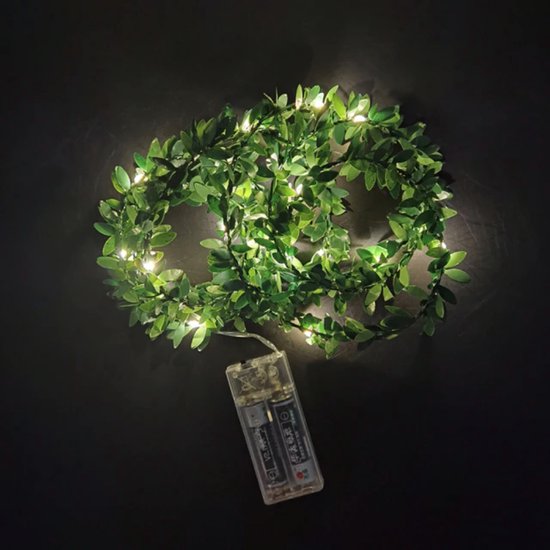 Cactus Trident Decoratie voor terrarium