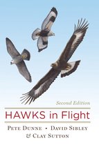 Hawks in Flight