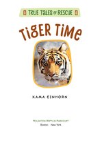 Boek cover Tiger Time van Kama Einhorn