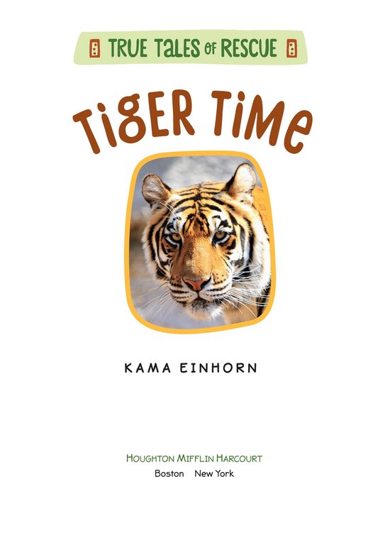 Boek cover Tiger Time van Kama Einhorn (Onbekend)