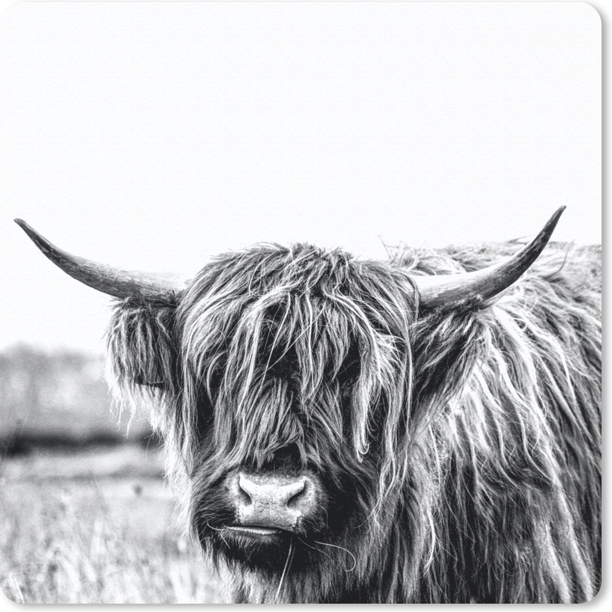 Muismat 30x30 cm - Mousepad Schotse hooglander - Gras - Zwart - Wit - Muismatten