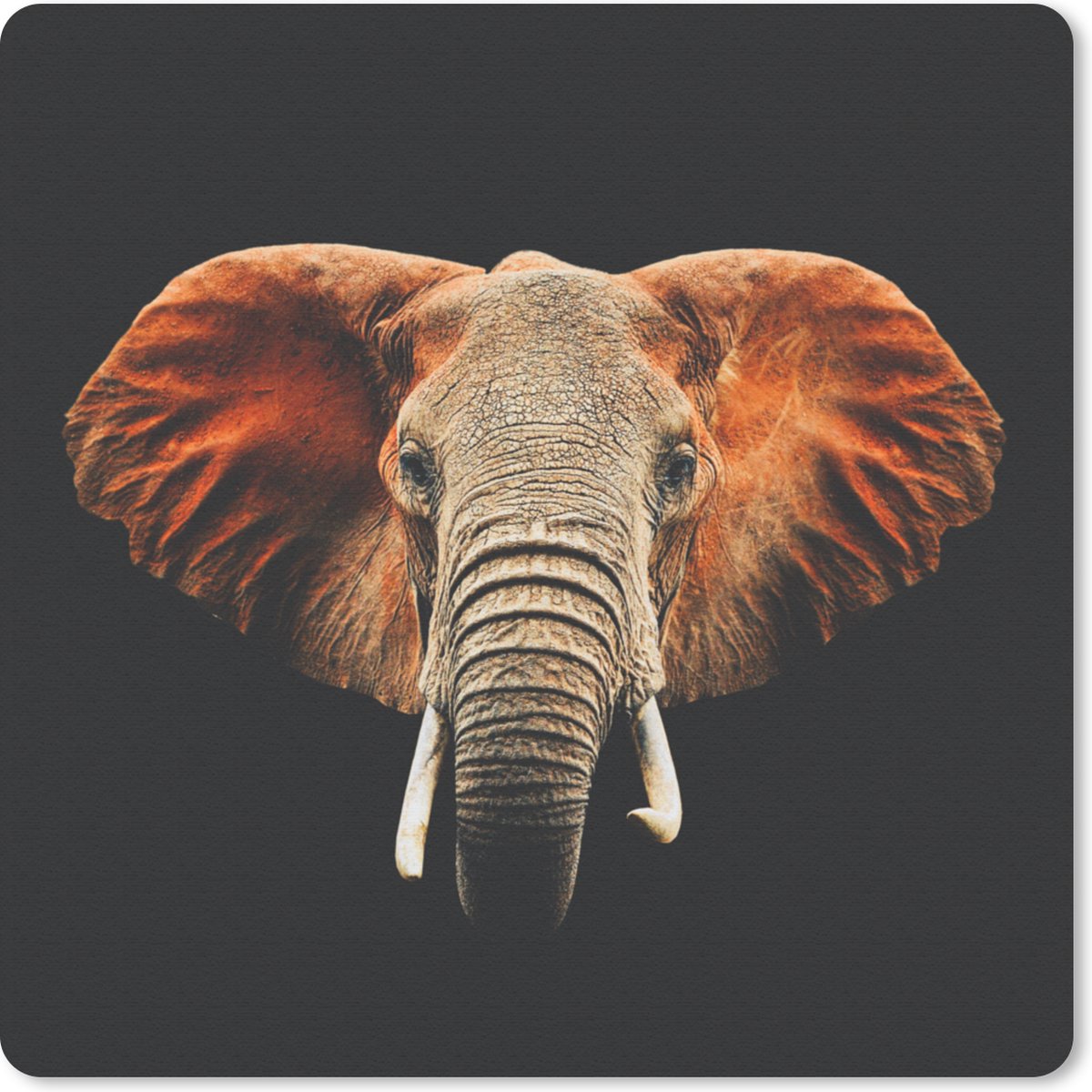 Muismat 30x30 cm - Mousepad Olifant - Dieren - Kleuren - Muismatten