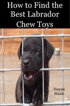 Dog training 4 - How to Find the Best Labrador Chew Toys