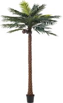 - Palmboom | kunststof | groen | 190x190x (h)350 cm