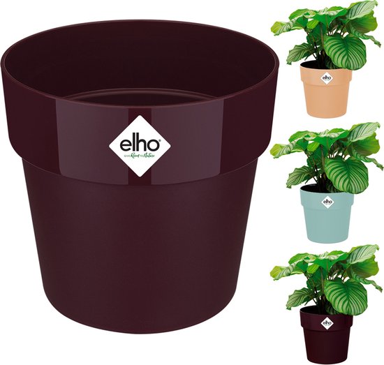 Elho Pot de fleurs 18x17cm 2L Pot de fleurs Plastique résistant au gel  Violet foncé | bol.com