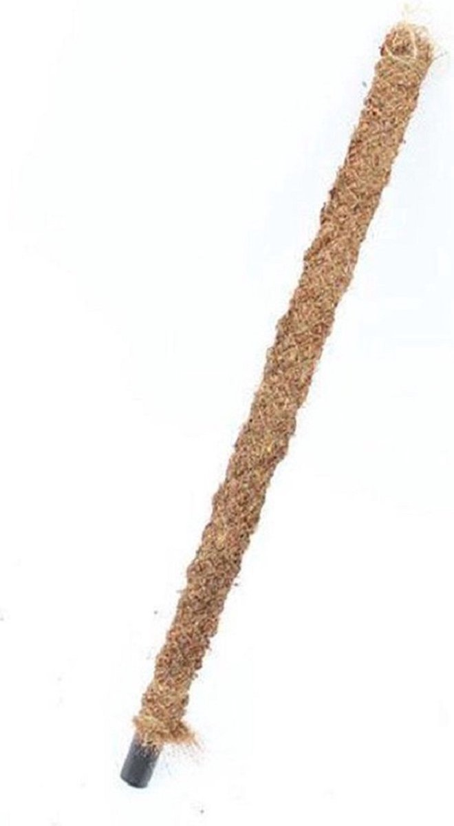 Mosstok 50cm x 35mm voor jouw Urban Jungle!  50 cm Klimplant Monstera Philodendron mos stok mospaal