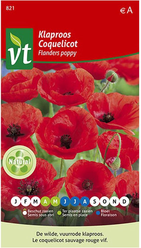 Foto: Papaver rode klaproos flanders poppy