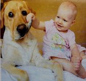 5 d Diamond painting 30x30 cm - Baby met hond