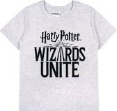 Grijs t-shirt met korte mouwen en Harry Potter print / 116 cm