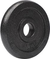 #DoYourFitness - 1 kg 100% gietijzer halterschijven - Haltergewichten - 28/29 mm boring - Diameter 128mm, dikte 19mm