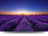 Maison de France - Canvas Duinen - strand en zee - canvas - 60 x 90 cm