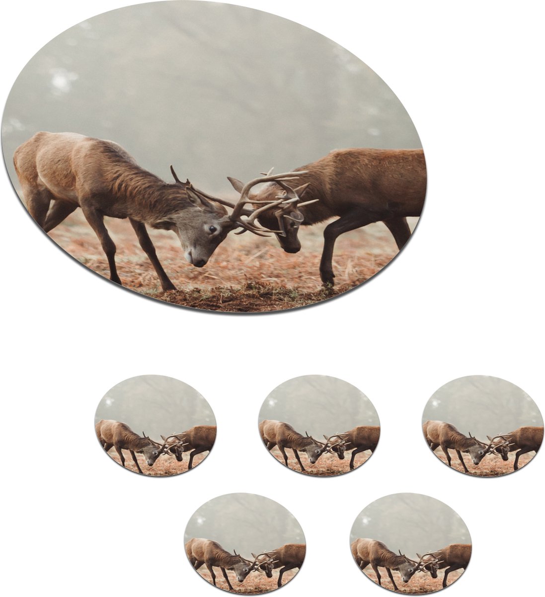 Onderzetters voor glazen - Rond - Hert - Gewei - Bos - Gras - 10x10 cm - Glasonderzetters - 6 stuks