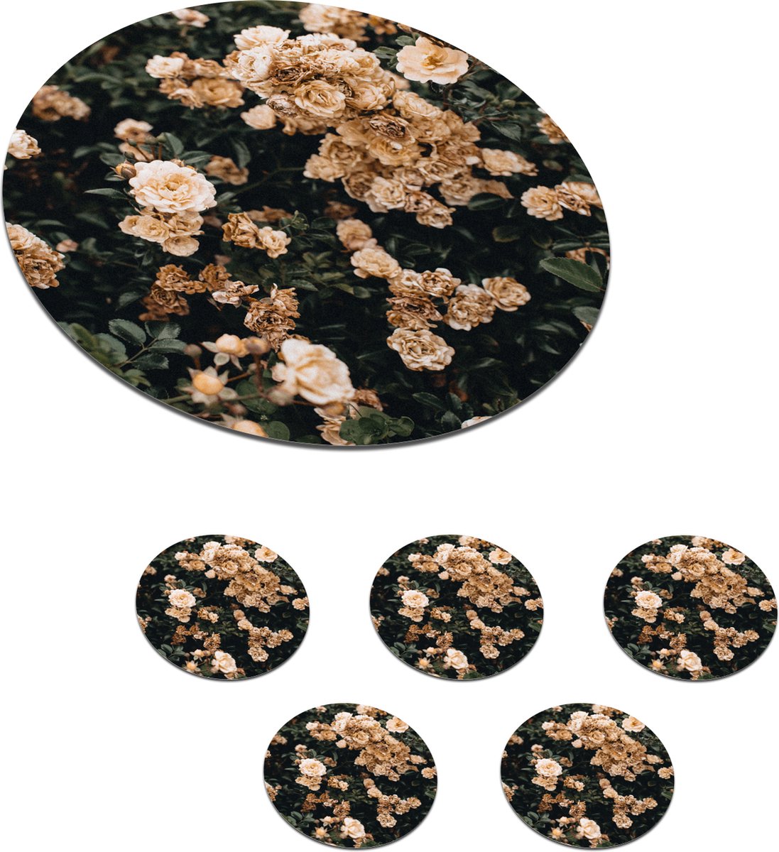 Onderzetters voor glazen - Rond - Rozen - Struik - Bruin - Wit - 10x10 cm - Glasonderzetters - 6 stuks