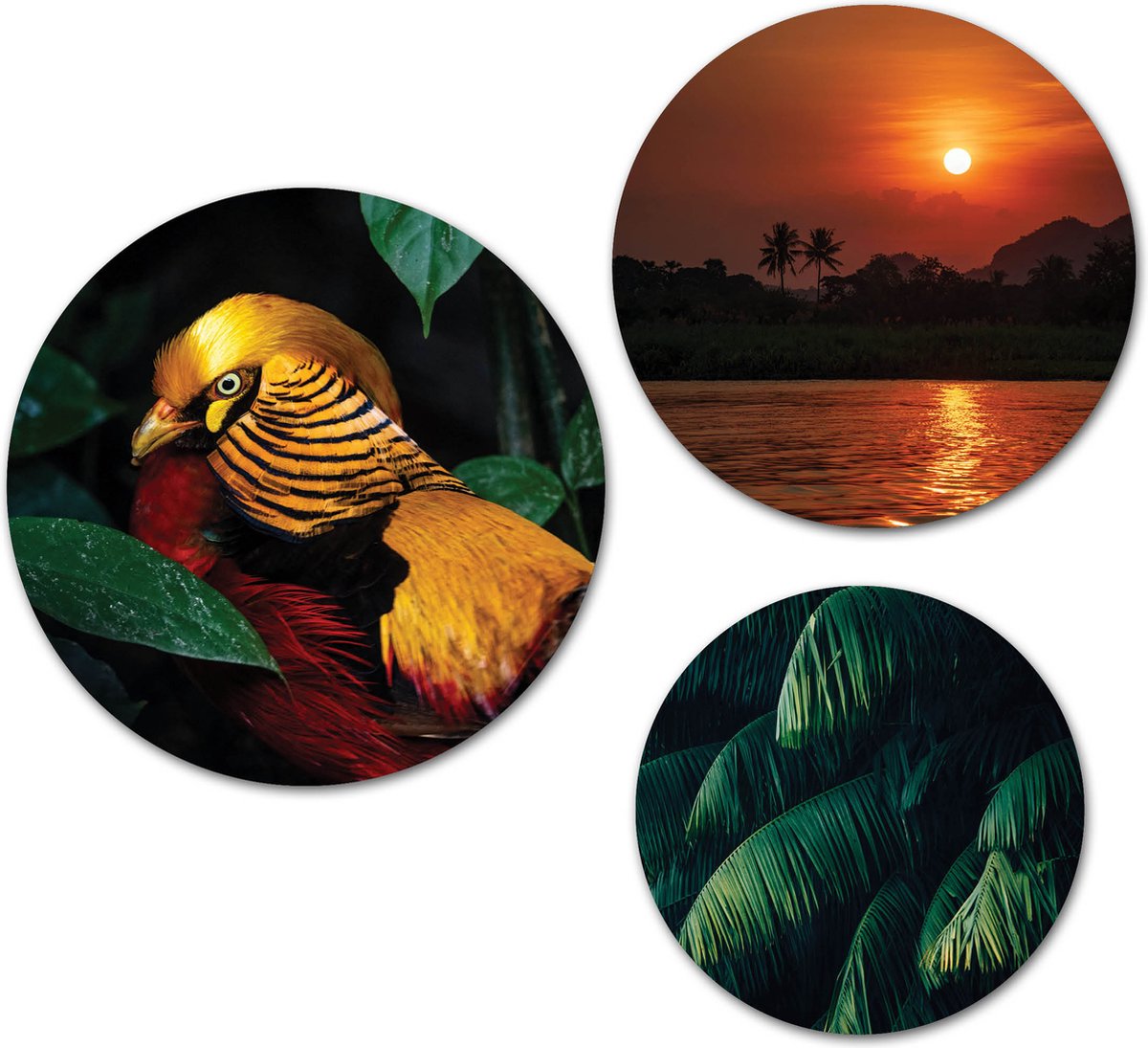 Forex Muurcirkel Set - Set Tropische Vogel Zonsondergang - Set van 3 Wandcirkels met Ophangsystemen - 25x30x35