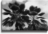 Walljar - Grote Bladeren Palmbomen - Muurdecoratie - Canvas schilderij