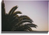 Walljar - Close-up Palm - Muurdecoratie - Canvas schilderij