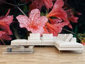 Professioneel Fotobehang van bloemen - roze - Sticky Decoration - fotobehang - decoratie - woonaccessoires - inclusief gratis hobbymesje - 445 cm breed x 300 cm hoog - in 7 verschillende form