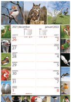 Omlegweek kalender 2022 met vogels