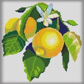 Borduurpakket MANDALA - Citrus & Lemon - Awsome Patterns - telpatroon om zelf te borduren