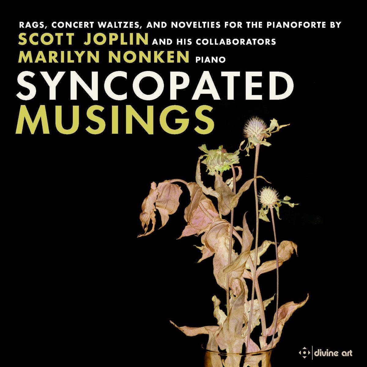 Marilyn Nonken - Syncopated Musings: Rags, Concert Waltzes And Nove (CD)