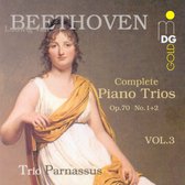 Trio Parnassus - Complete Piano Trios Vol 3 (CD)
