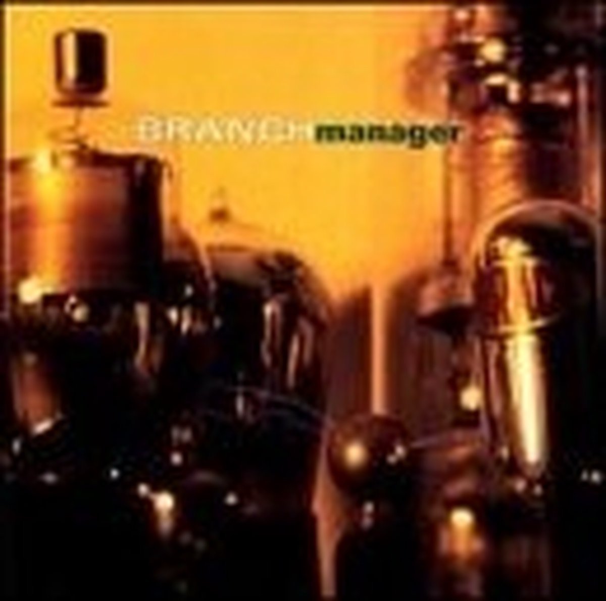 Branch Manager - Branch Manager (CD)