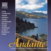 Various Artists - Andante (CD)
