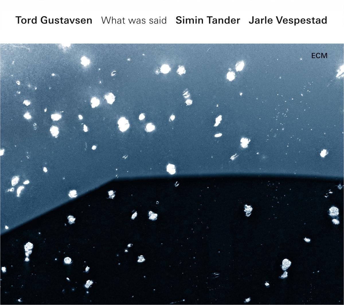 Simin Tander & Jarle Vespestad - What Was Said (CD) - Simin Tander & Jarle Vespestad