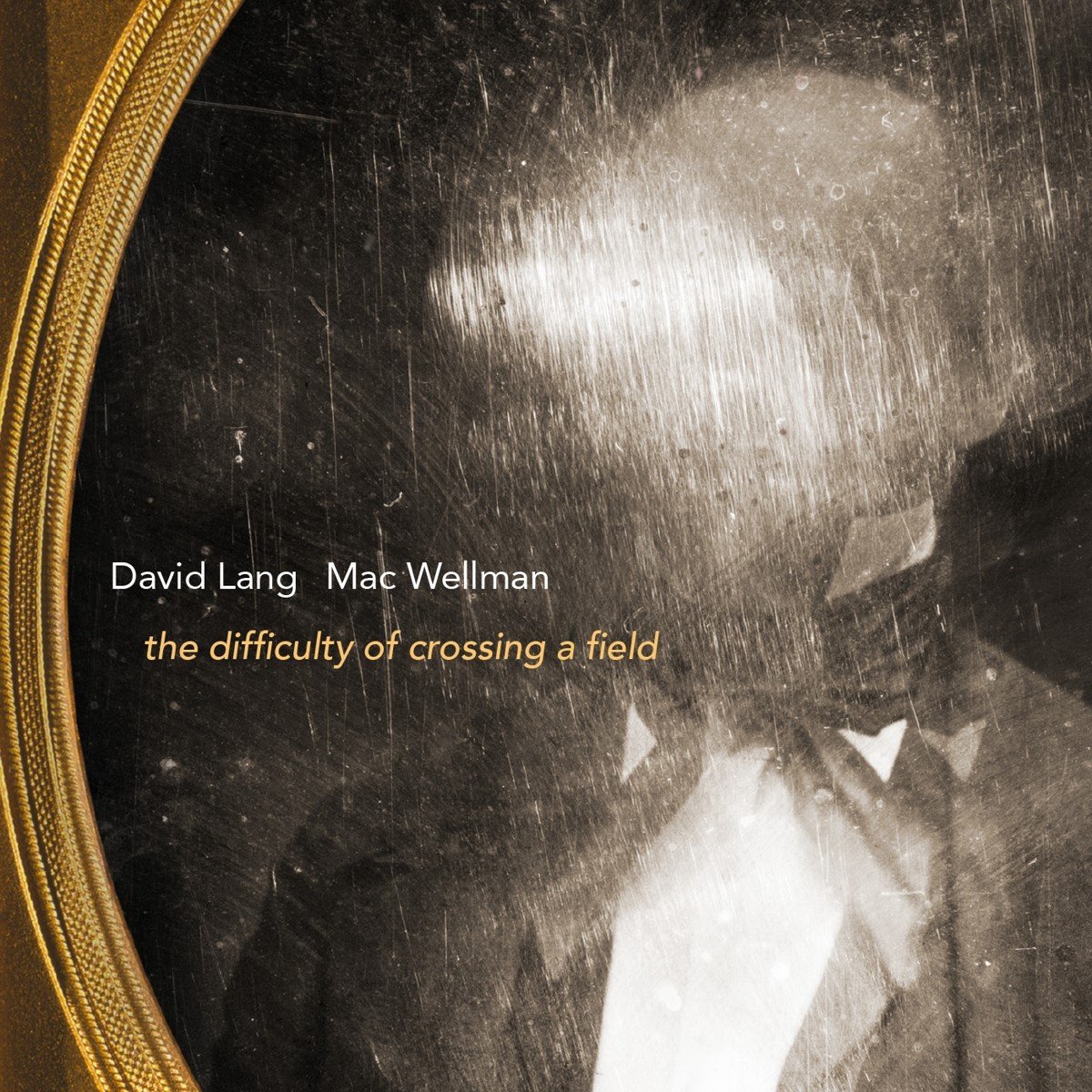 Harlem String Quartet & Various Artists - The Difficulty Of Crossing A Field (CD)