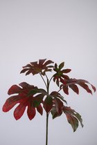 Kunsttak - Maple - topkwaliteit decoratie - 2 stuks - zijden blad - Rood - 86 cm hoog