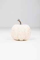 pompoen - Pumpkin - topkwaliteit decoratie - 2 stuks - kunststof groente - Wit - 18 cm hoog