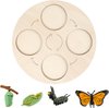 Afbeelding van het spelletje life cycle board - levenscyclus bord - educatief speelgoed - montessori - montessori speelgoed - van rups tot vlinder - Blijderij