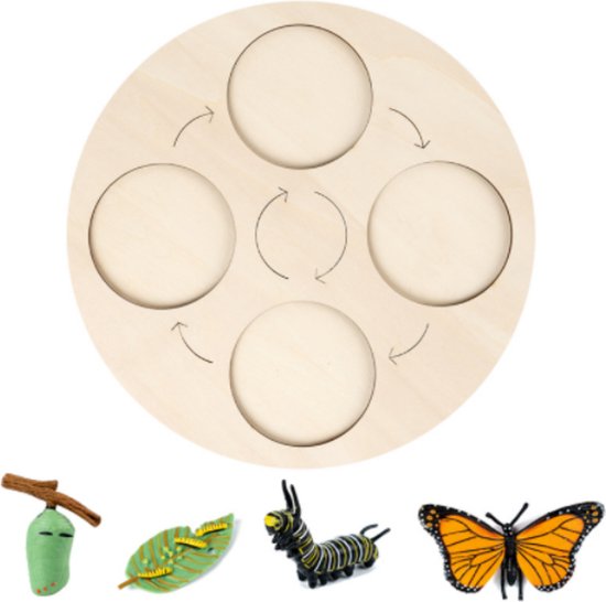 life cycle board - levenscyclus bord - educatief speelgoed - montessori - montessori speelgoed - van rups tot vlinder - Blijderij