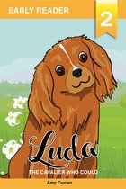 Tales of Tails 2 - Luda the Cavalier who could