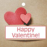 20 Valentijn kaartjes - Cadeau kaartjes - Happy Valentine -  7 x 7 cm