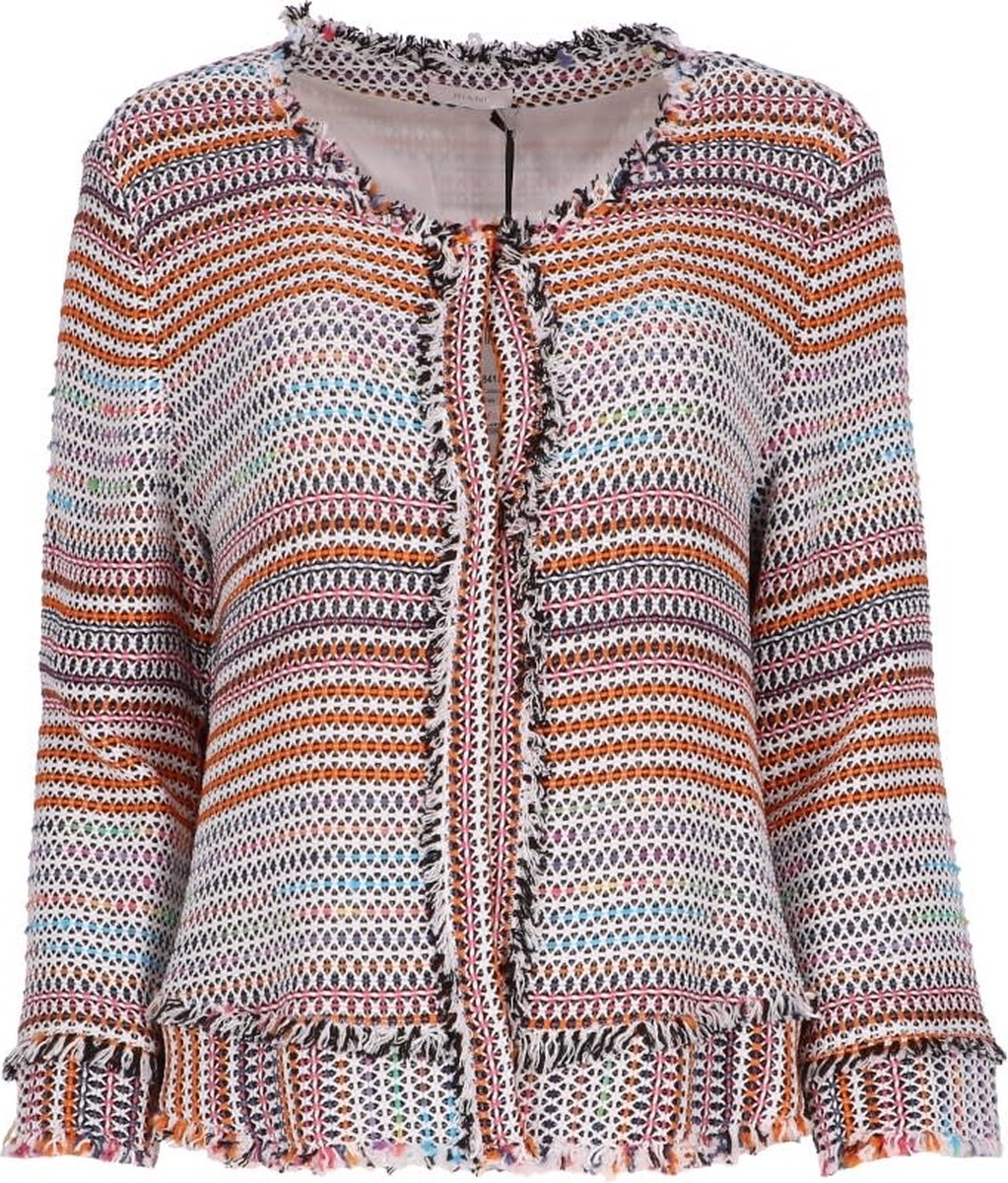 Riani Blazer Multicolor