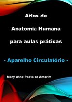 Atlas De Anatomia Humana Para Aulas Práticas - Aparelho Circulatório