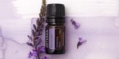 doTERRA Console (Troost en Hoop) | 5ml | Blended | Etherische Olie