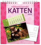 Postkaarten kalender 2022 Katten