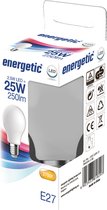 LED Bulb E27 A60 2700K Mat 2,5W