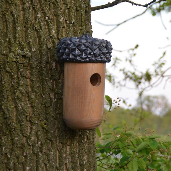 Houten vogelhuisje in de vorm van een eikel, bevestigd aan een boom. Het vogelhuisje heeft een ronde ingang.