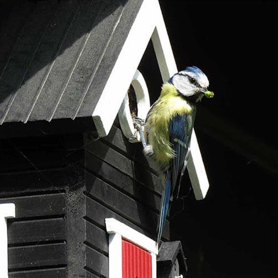 Wildlife Garden Vogelhaus Multiholk Bauhaus Plus Kaufen