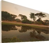 Wanddecoratie hout - Weerspiegeling van de bomen in het water van het Nationaal park Lower Zambezi - 90x60 cm - Houten Wandpaneel - Muurdecoratie - Woonkamer - Slaapkamer